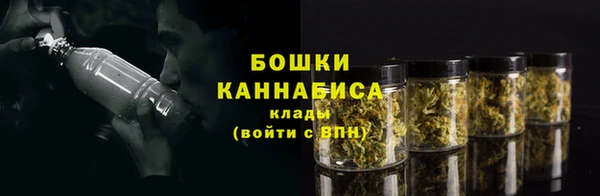 ПСИЛОЦИБИНОВЫЕ ГРИБЫ Верхнеуральск