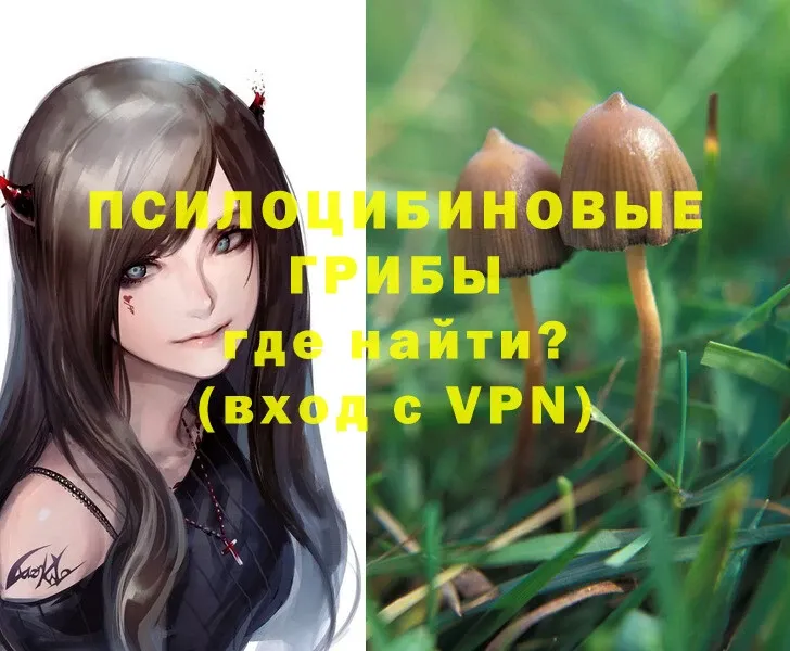 Псилоцибиновые грибы Magic Shrooms Усолье-Сибирское